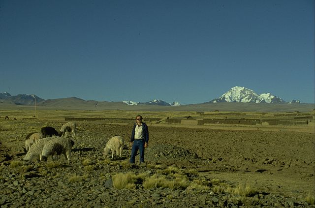 Cavorting with llamas on the Altiplano